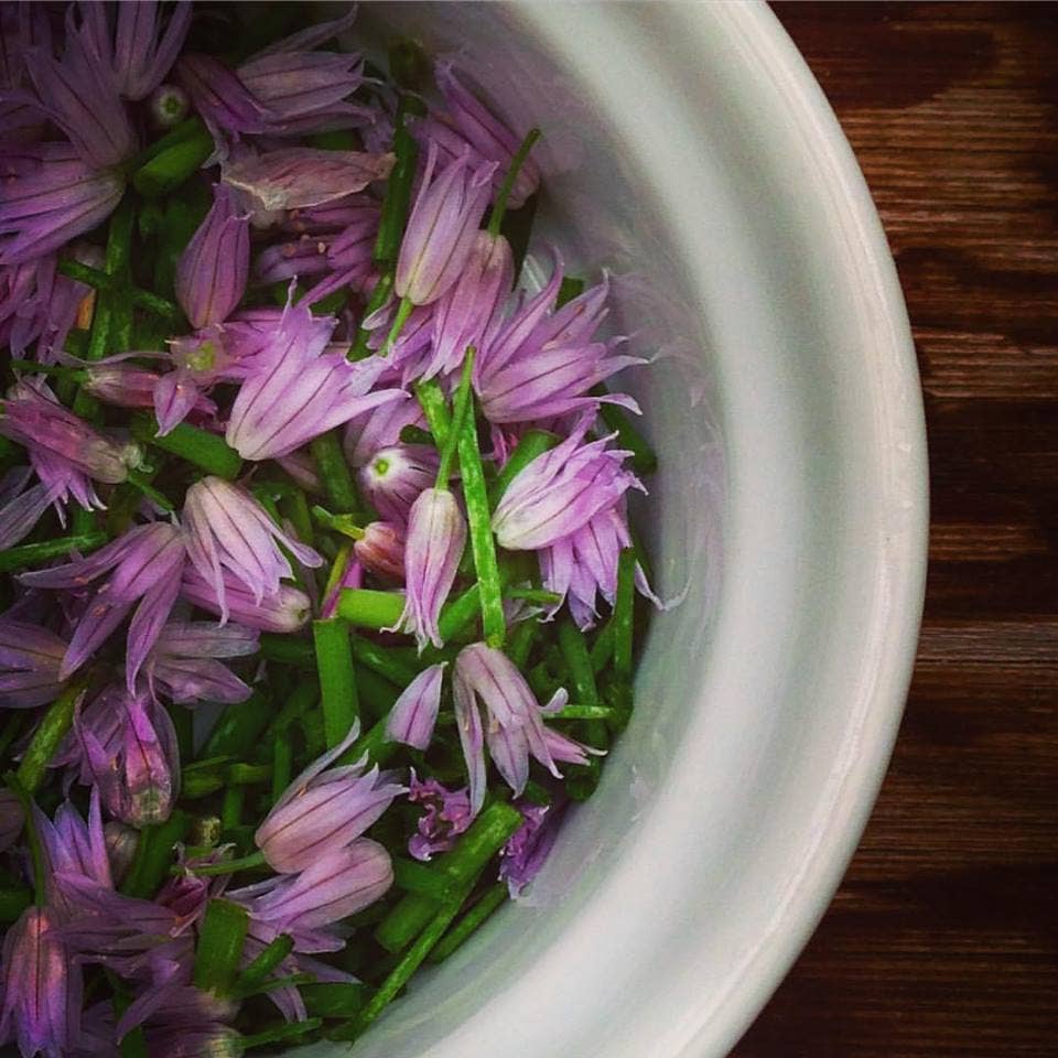 Garden in a Bag | Chives | Great Gift for Cooks
