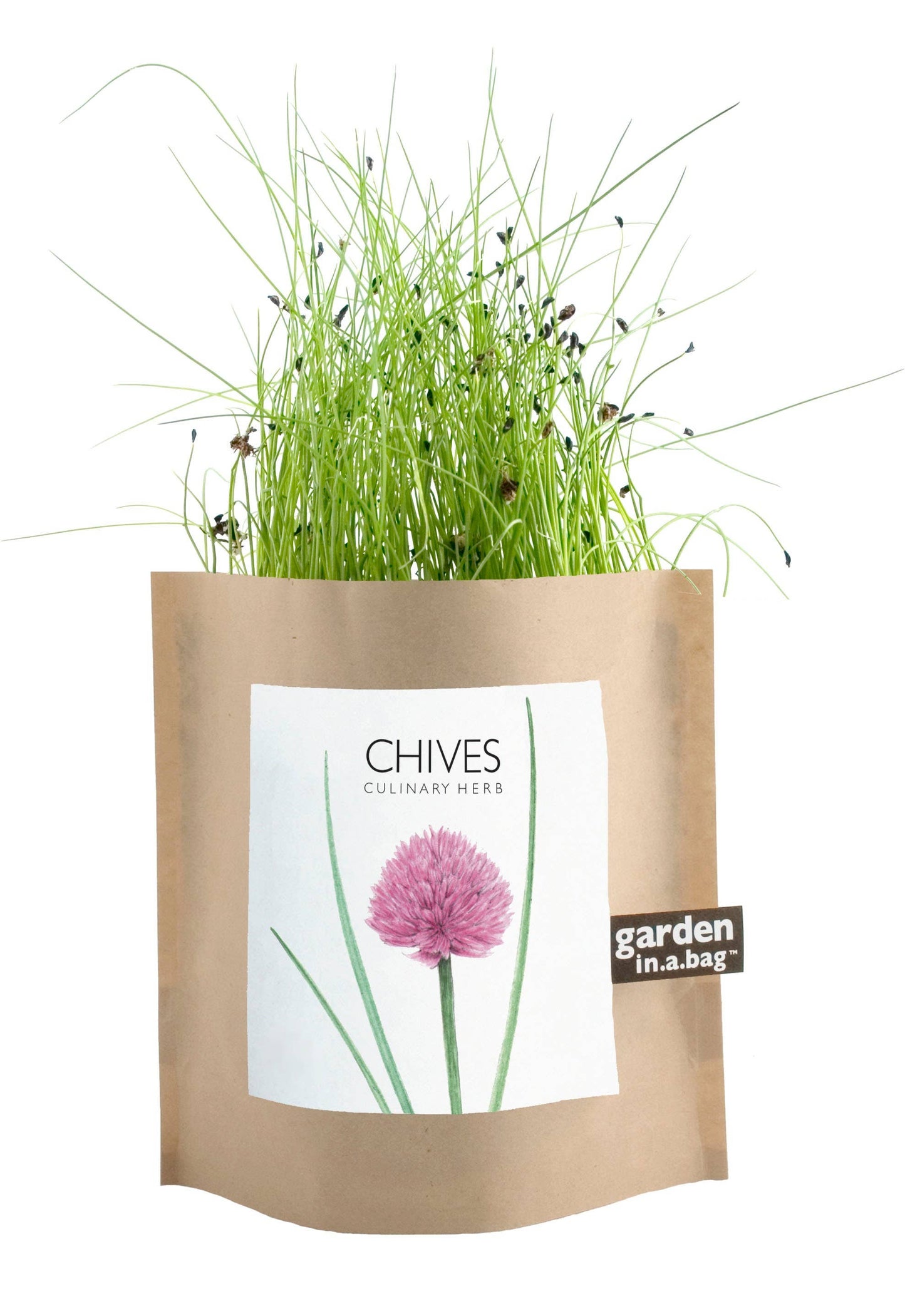 Garden in a Bag | Chives | Great Gift for Cooks